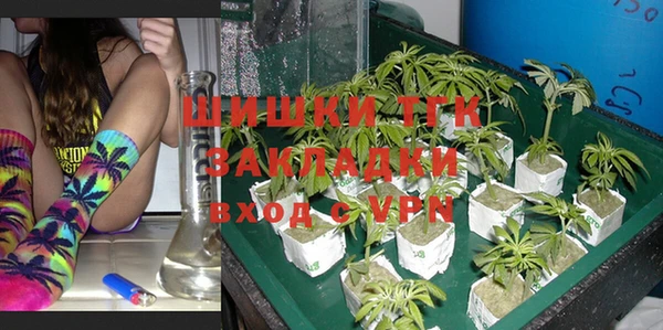 прущий лед Алзамай
