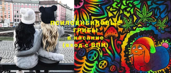 трава Аркадак