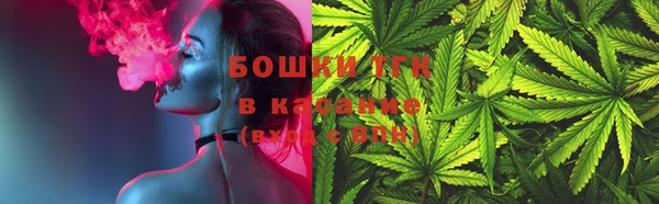 трава Аркадак