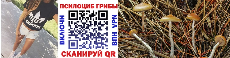 Псилоцибиновые грибы Magic Shrooms  сайты даркнета формула  Трёхгорный 